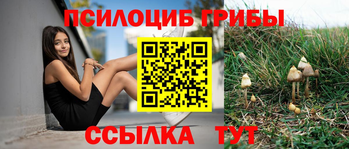 Горно-Алтайск  Псилоцибиновые грибы прущие грибы  как найти наркотики  Вход с VPN  Галлюциногенные грибы GOLDEN TEACHER 